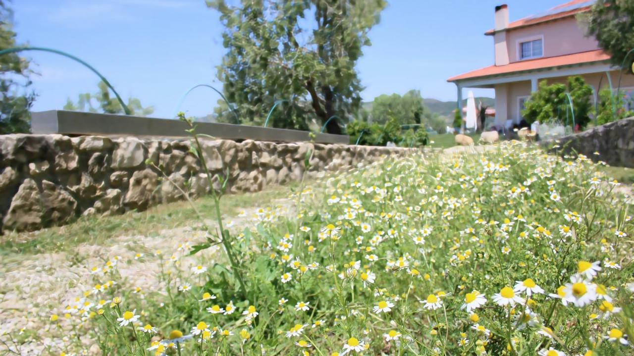 Agroturizem Bylis Hotel Hekal Exterior photo